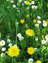 Similar image 650419