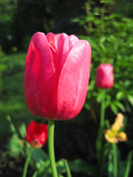 Similar image 650421