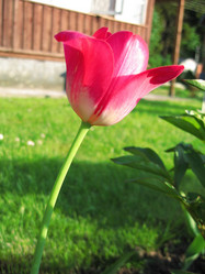 Similar image 650422