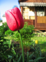 Similar image 650423