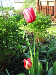 Similar image 650424