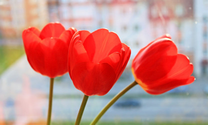 Similar image 650446