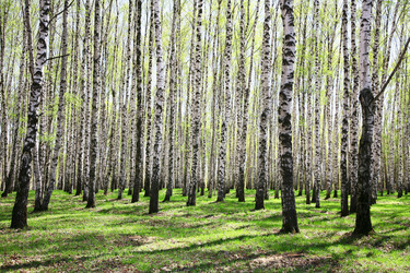 Similar image 650453