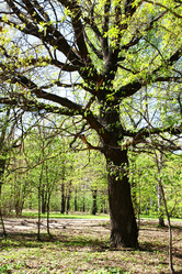 Similar image 650455