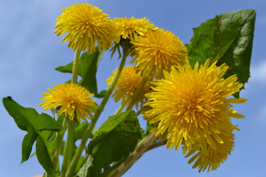 Similar image 650457