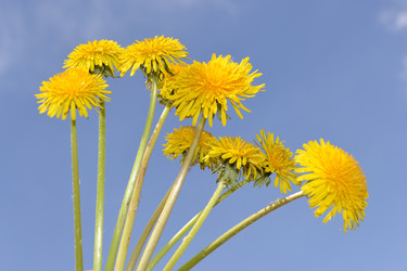 Similar image 650458