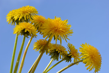 Similar image 650459