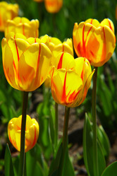 Similar image 650466