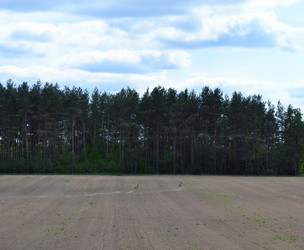 Similar image 650476