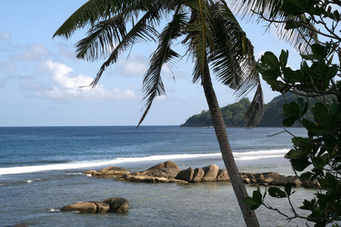 Similar image 650482