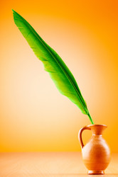 Similar image 650534