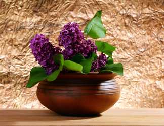 Similar image 650562