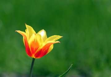 Similar image 650574