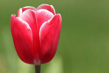 Similar image 650578