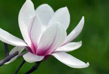 Similar image 650580