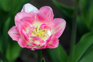 Similar image 650585