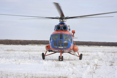 Similar image 650591