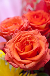 Similar image 650595