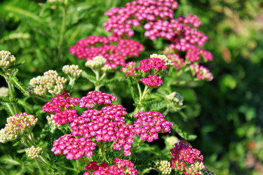 Similar image 650603