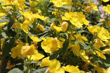 Similar image 650606