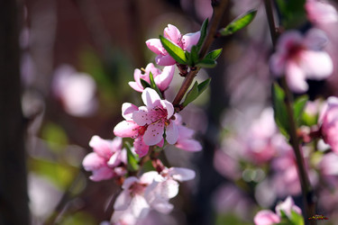 Similar image 650611