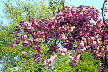 Similar image 650612