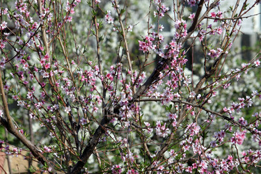 Similar image 650614