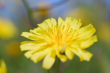 Similar image 650618