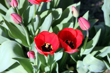 Similar image 650620