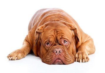 Similar image 650625