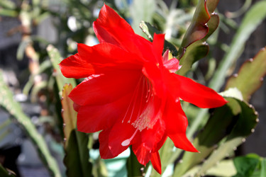 Similar image 650628