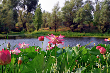 Similar image 650631