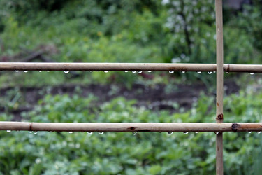 Similar image 650646