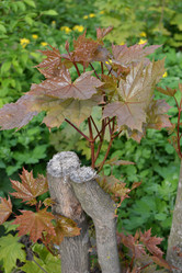 Similar image 650684