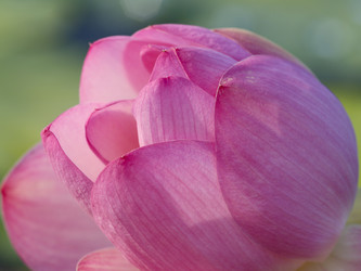 Similar image 650733