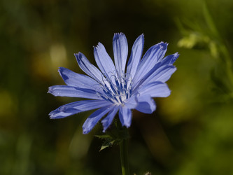 Similar image 650735