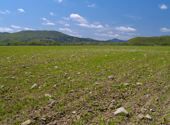 Similar image 650756