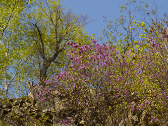 Similar image 650759