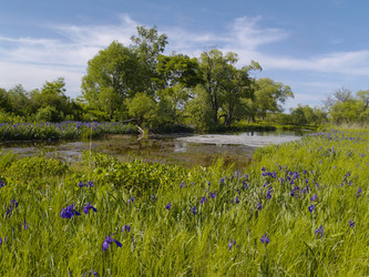 Similar image 650760