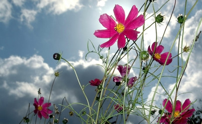 Similar image 650778