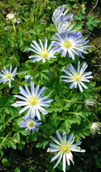 Similar image 650783