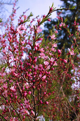 Similar image 650786