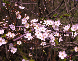 Similar image 650790