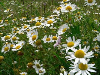 Similar image 650794