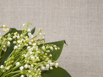 Similar image 650796