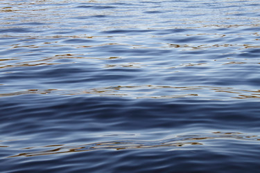 Similar image 650798