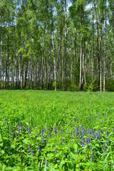 Similar image 650803