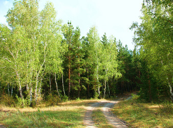 Similar image 650808