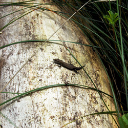 Similar image 650815