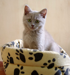 Similar image 650818